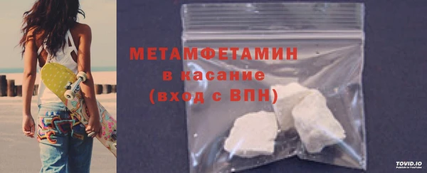 прущие грибы Мегион