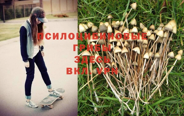 трава Медвежьегорск