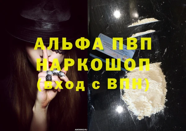 прущие грибы Мегион