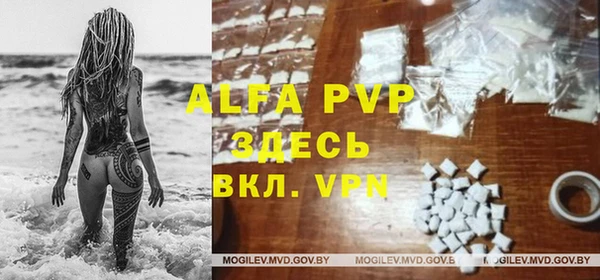 ГАЛЛЮЦИНОГЕННЫЕ ГРИБЫ Михайлов