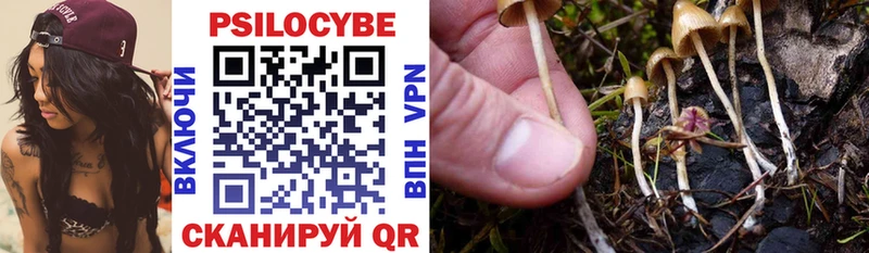 Псилоцибиновые грибы мицелий  Сясьстрой 